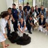 Cães da Guarda Municipal de Santos visitam a Santa Casa